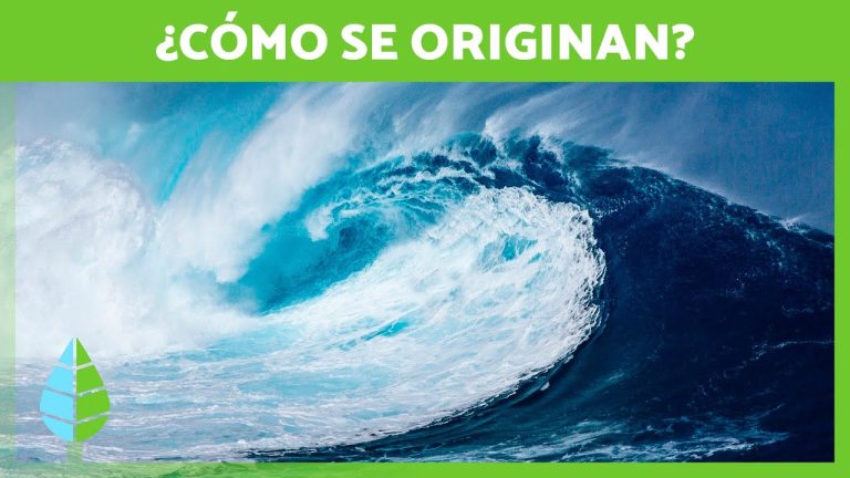 Difundir para prevenir el desastre tsunami