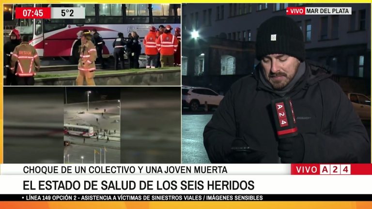 El acompañante de la chica fallecida en Mar del Plata fue embestido y le sustrajeron sus pertenencias mientras buscaba auxilio.