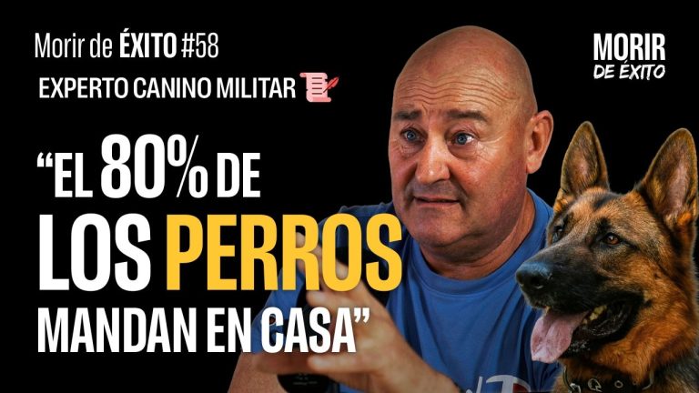Arrestan a entrenador de perros por crueldad animal: hallan un can muerto en su piscina