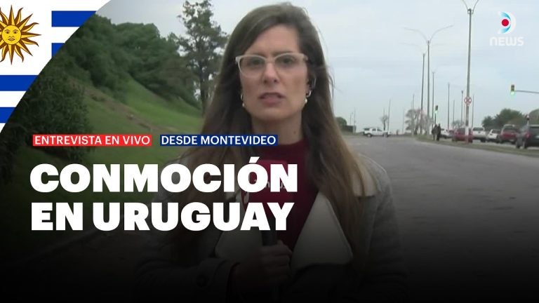 Descubren 12 dachshunds ocultos en un veh&iacute;culo camino de Entre R&iacute;os a Uruguay