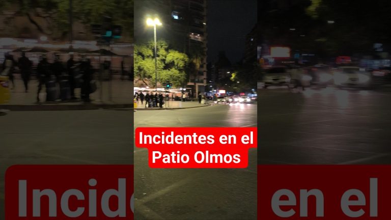 El inesperado incidente en la Panamericana durante los festejos por la victoria de la selección