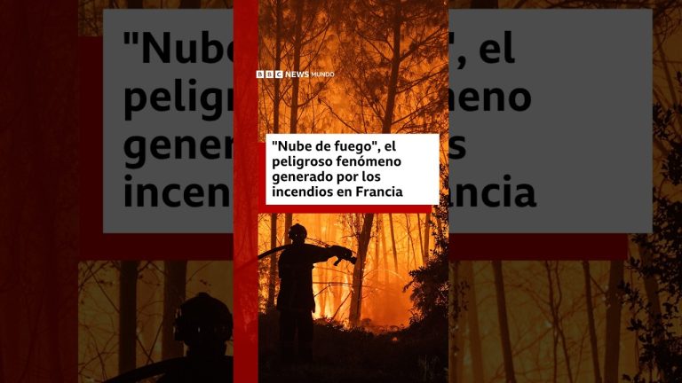 Entendiendo el fen&oacute;meno del fuego que altera su clima y devasta el continente europeo