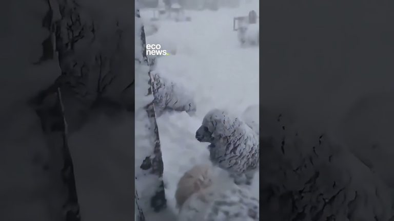 Fuerte nevada en Catamarca atrapa a cuatro trabajadores en la puna: operativo de rescate en marcha