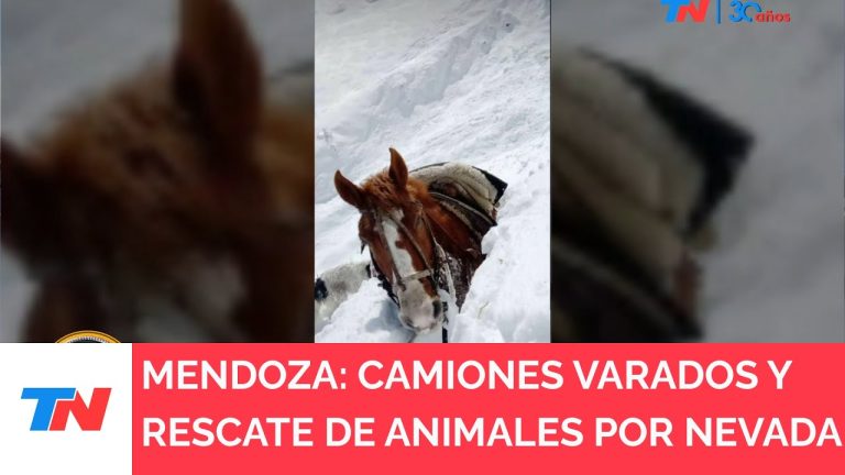 Fuerte nevada en Mendoza bloquea ruta: rescatan a decenas de personas y detienen más de 500 camiones en paso fronterizo