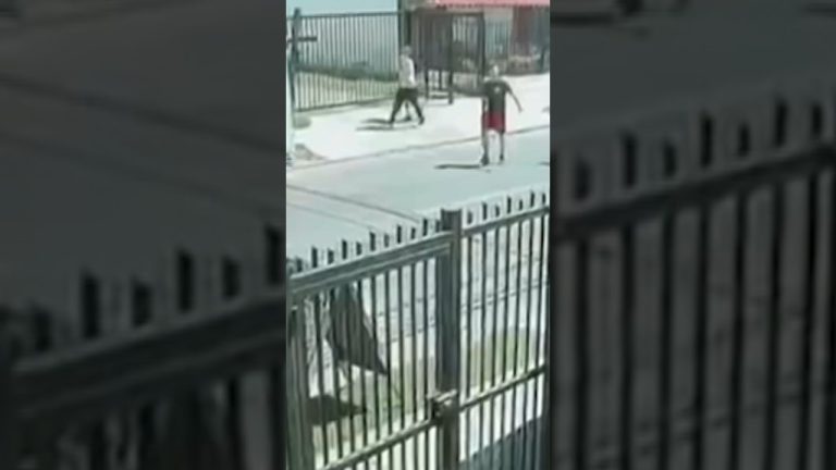 Hombre arrestado tras cruzar frontera con ganado robado valorado en $40 millones desde santa cruz hasta chile