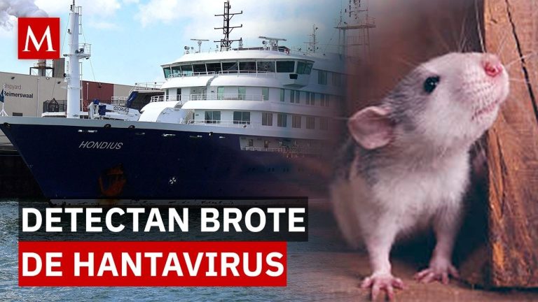La OMS declara concluido el brote de hantavirus del crucero originado en Argentina: se localizan 650 contactos en 33 naciones
