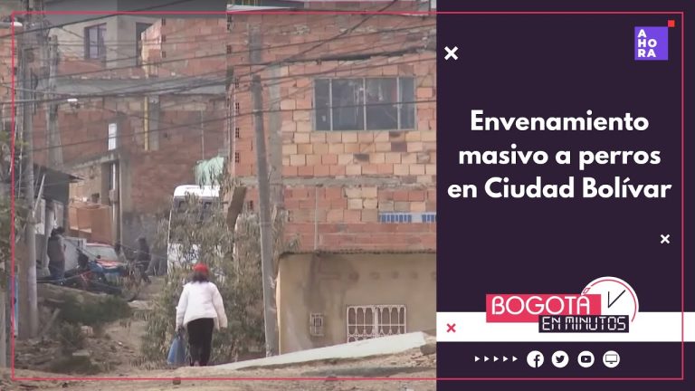 Reportan caso de envenenamiento masivo de perros en Bolívar: presentan vómitos, convulsiones y mueren rápidamente