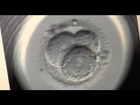 Retrasar la maternidad: aumento de madres de mayor edad y cuándo optan por congelar sus óvulos
