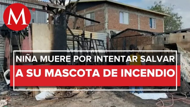 Tragedia en Salta: fallece al intentar rescatar su ganado de los incendios