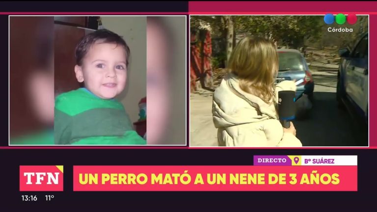 Acusan a dos individuos de homicidio culposo tras la muerte de un niño de tres años por el ataque de un pitbull