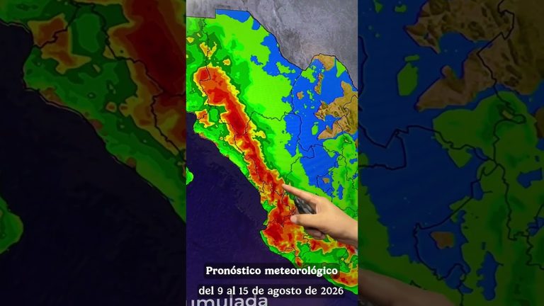 Avisos del clima: regiones con temperaturas gélidas, nieve y ráfagas de viento intensas según el SMN hoy