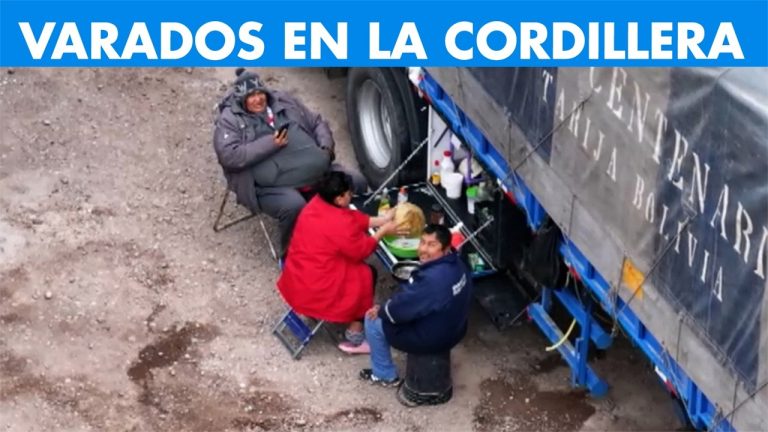 Continúan las nevadas hasta el domingo: dificultades en la frontera, cientos de camiones detenidos, protestas de transportistas y operaciones de rescate en la Patagonia