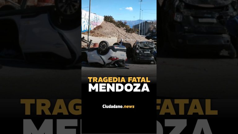 Detalles sobre el accidente en Mendoza: fallecido y estado de los heridos tras la ca&iacute;da de dos autos desde un puente