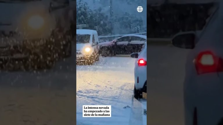 Fuerte nevada en la cordillera provoca miles de camiones atrapados, cierre de pasos internacionales y activación de protocolos de emergencia
