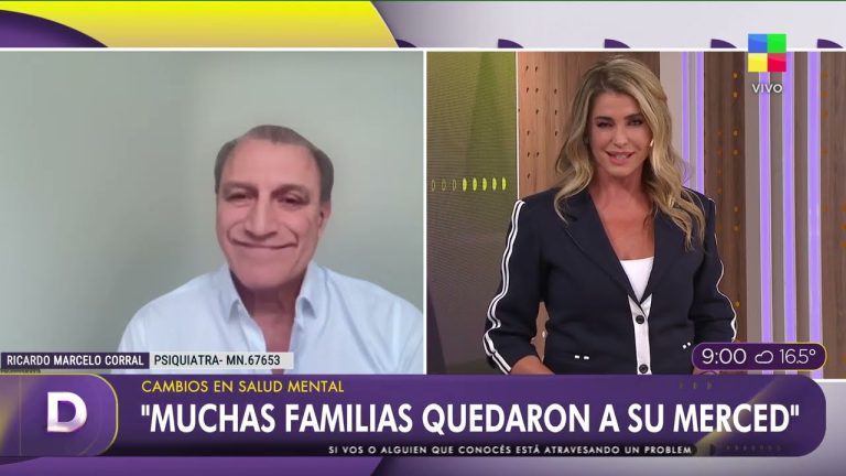 Modificaciones actuales en internaciones y pilares esenciales del reciente plan oficial de salud mental.