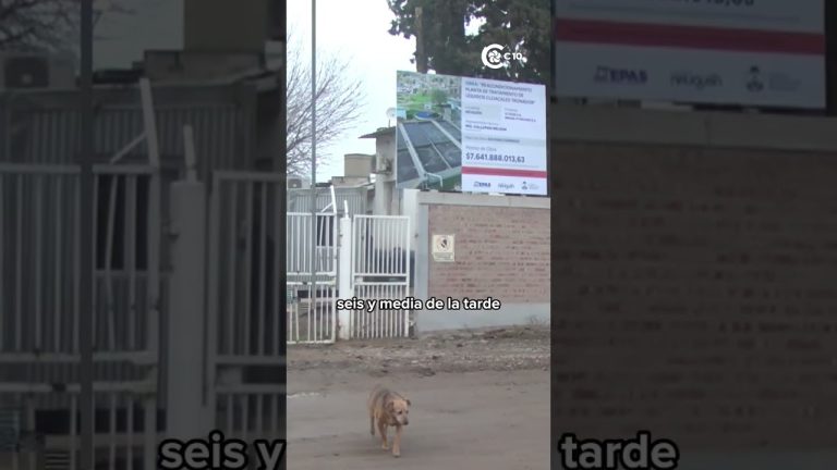 Niño de 6 años fallece por ahogamiento en una piscina de tratamiento de aguas residuales en Neuquén.