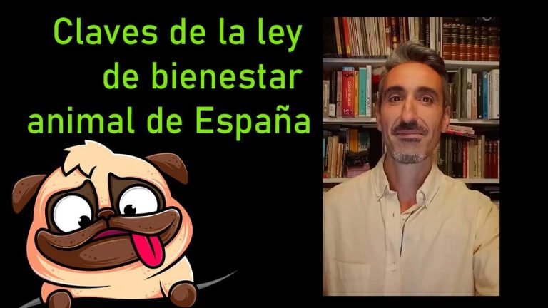 Proponen regular el entierro conjunto de mascotas y sus propietarios