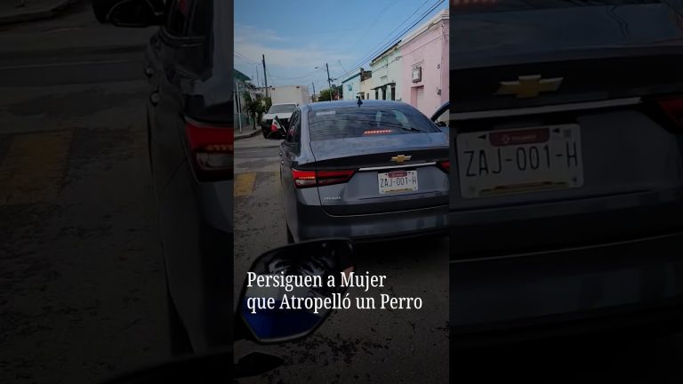 Acusan al guardaespaldas de la vicegobernadora de Mendoza por conducir ebrio en accidente mortal con motociclista