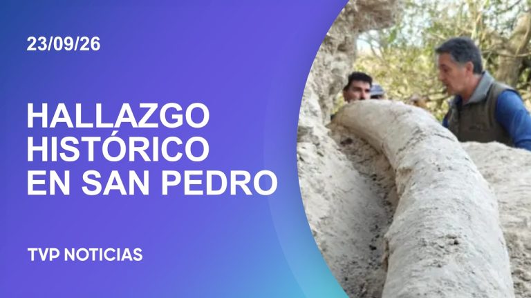 Descubren en San Pedro el mayor colmillo de mastodonte encontrado en Sudamérica