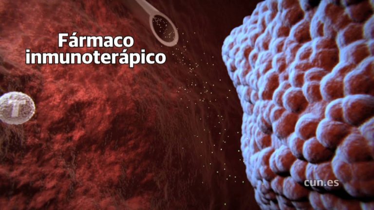 Especialista en oncolog&iacute;a afirma que ahora es posible identificar tumores para elegir tratamientos adecuados, pero existe una soluci&oacute;n a&uacute;n m&aacute;s efectiva