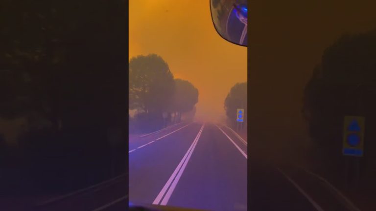 Incendio de gran magnitud en el puerto de Olivos desafía a los bomberos