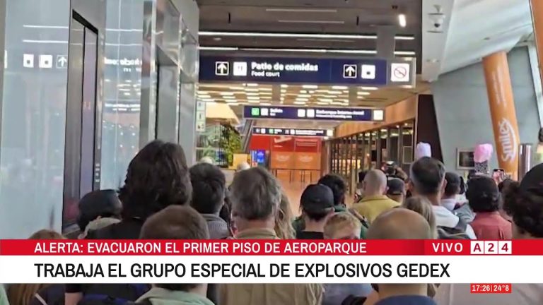 Incidente en aeroparque por conservadora sospechosa con &oacute;rgano: activan protocolo de seguridad antibombas