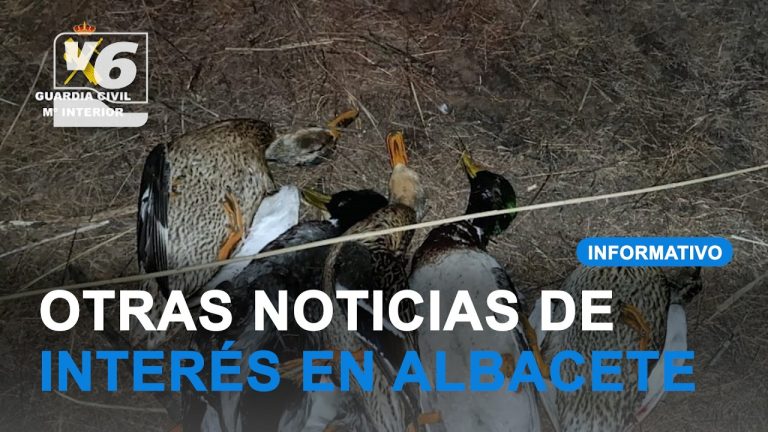 Influencer en controversia por cazar aves protegidas y compartirlo en redes sociales