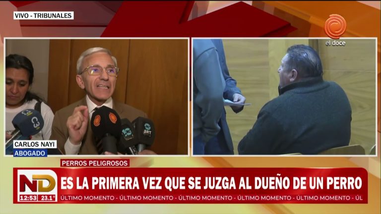 Propietario de dos dogos recibe condena de ocho a&ntilde;os por muerte de adolescente en C&oacute;rdoba