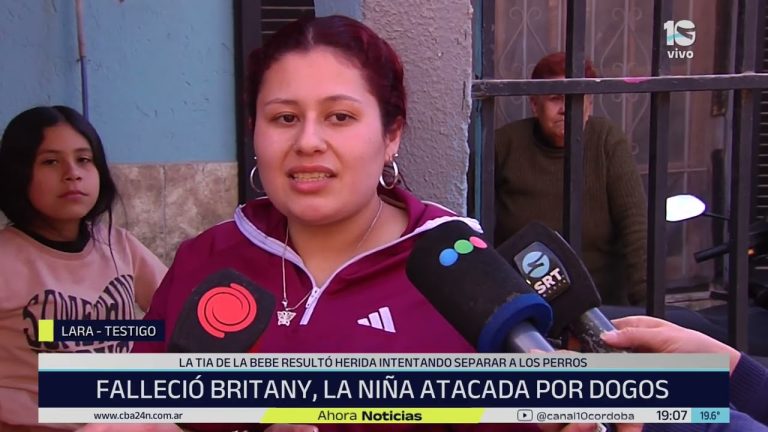 Tragedia en Córdoba: dos niños fallecen tras ataque de pitbull y dogos peligrosos