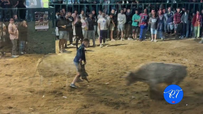 Un agricultor de 75 a&ntilde;os fallece tras ser embestido por un toro en una estancia de Pedro Luro