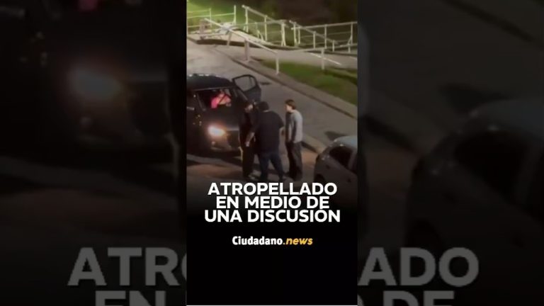 Altercado fuera de un club nocturno en Mar del Plata: pu&ntilde;etazos, patadas y un coche descontrolado desencadenan una pelea multitudinaria