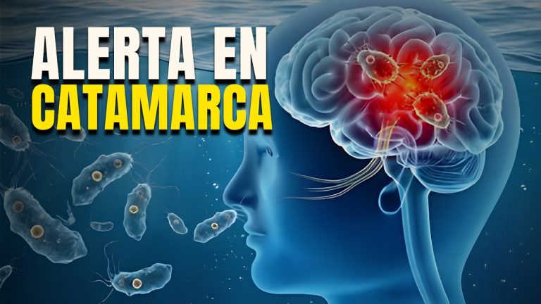 Entendiendo la peligrosa ameba que afect&oacute; a un ni&ntilde;o en Catamarca: ubicaci&oacute;n y riesgos del par&aacute;sito