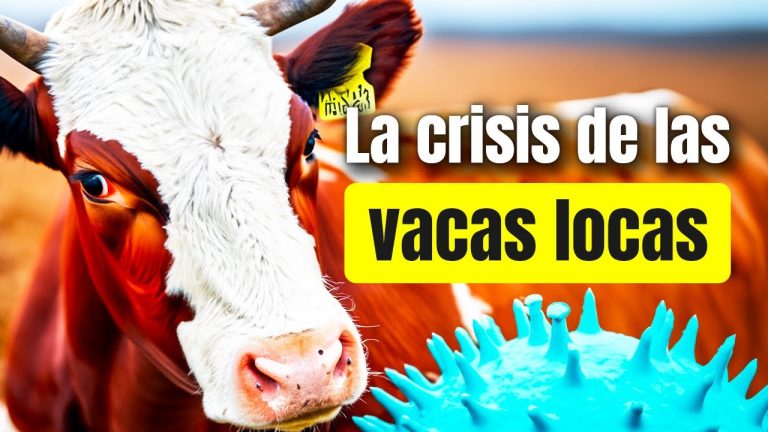Identifican en humanos una r&aacute;pida enfermedad del ganado por primera vez en Europa