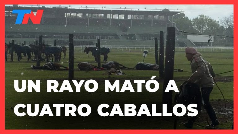 Impactante incidente en San Isidro: propietario de los caballos alcanzados y detalles del trágico suceso en el Jockey Club.