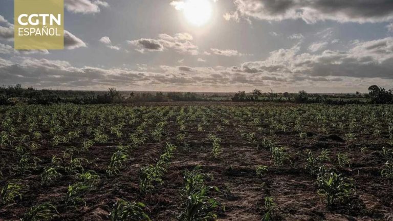 Incremento r&eacute;cord de calor podr&iacute;a intensificar fen&oacute;meno clim&aacute;tico a fin de a&ntilde;o, advierte especialista argentina de la ONU: “Nunca vimos un dato as&iacute; antes