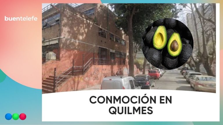 La madre del beb&eacute; fallecido por el impacto de una palta responsabiliza a la municipalidad de Quilmes