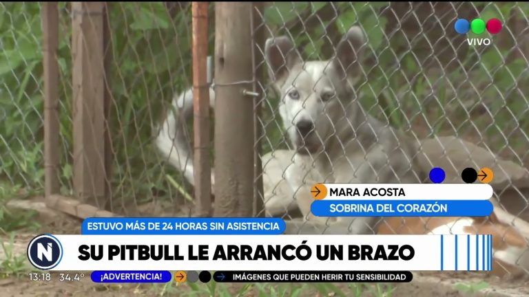 Mujer gravemente herida tras ataque de tres perros en Ca&ntilde;uelas: amputaci&oacute;n de un brazo, riesgo en una pierna y en coma