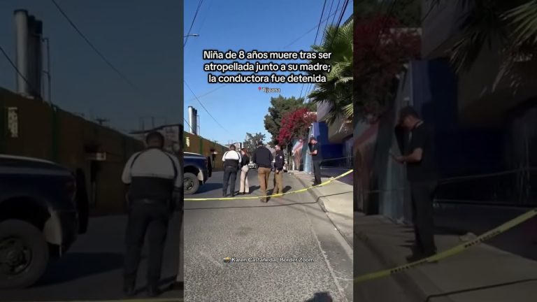 Ni&ntilde;a de ocho a&ntilde;os fallece en un accidente de moto en Mendoza junto a su madre al colisionar con una camioneta