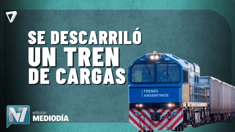Reportan ataque a tren del San Mart&iacute;n durante su trayecto y Trenes Argentinos reduce su ruta