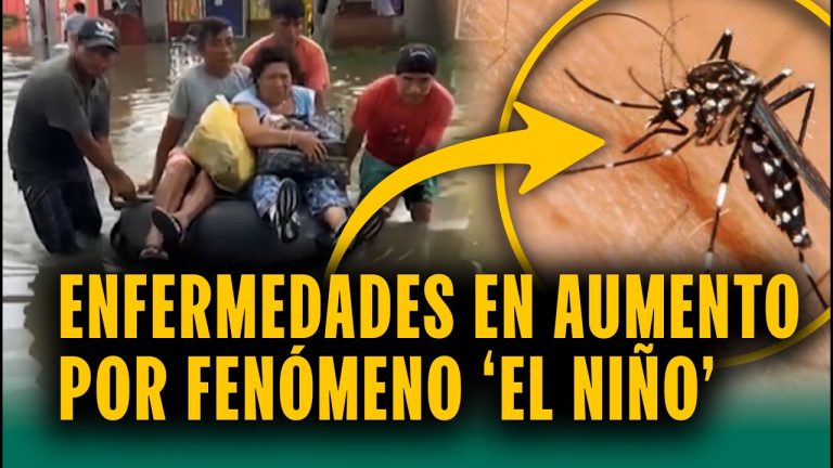 Se anticipa el clima hasta fin de año con anormalidades térmicas por el fenómeno Niño y lluvias intensas