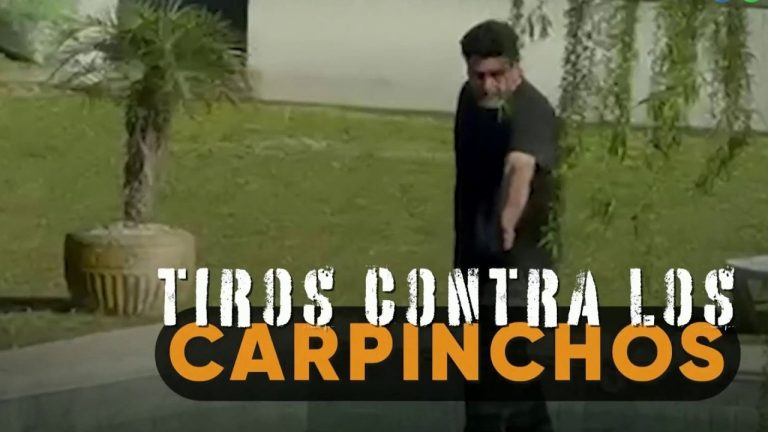 Solicitan intensificar la acusaci&oacute;n contra el residente de Nordelta que abri&oacute; fuego contra los carpinchos