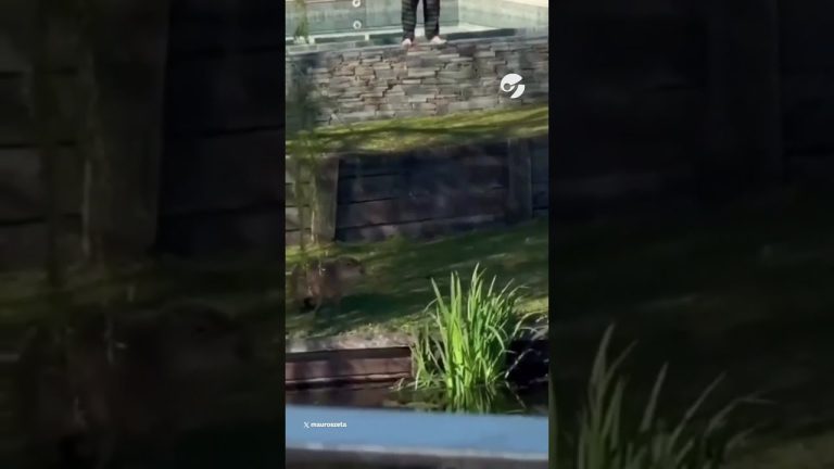 Vecino de Nordelta es filmado disparando a carpinchos, causando indignaci&oacute;n